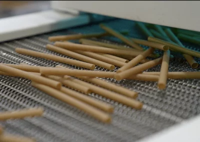 Les Nouvelles Pailles made in france en ESAT