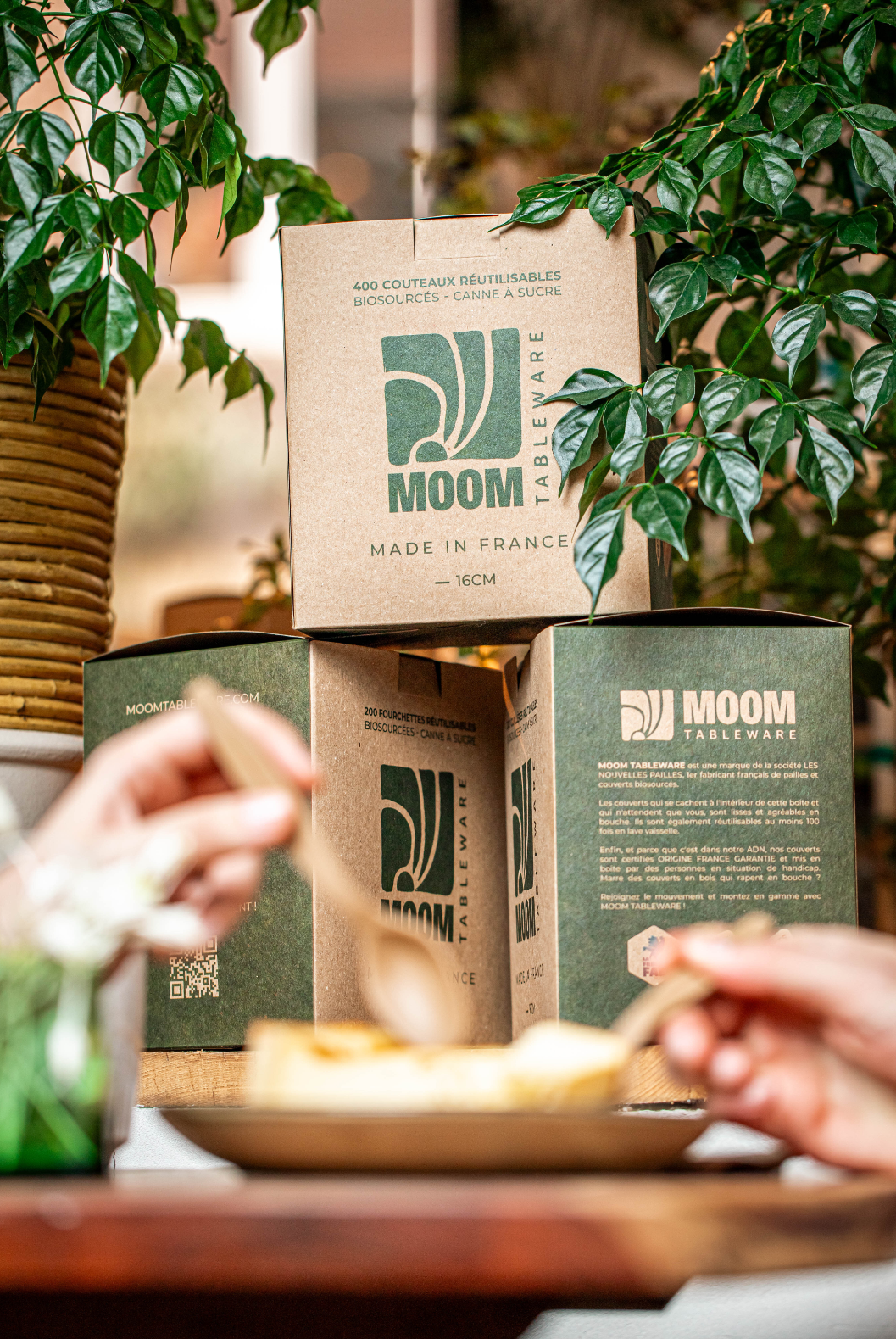 BOX MOOM LIFESTYLE INDOOR 2 (1)