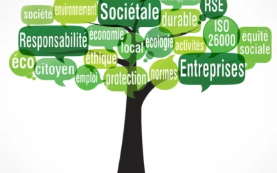 Les engagements RSE de MOOM, fabricant de pailles et couverts