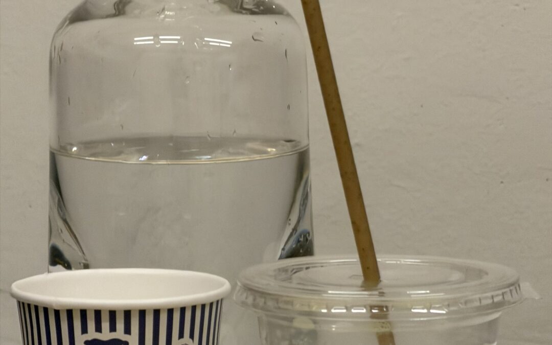 Chez Octave Studio à Paris, les boissons s’accompagnent de pailles MOOM