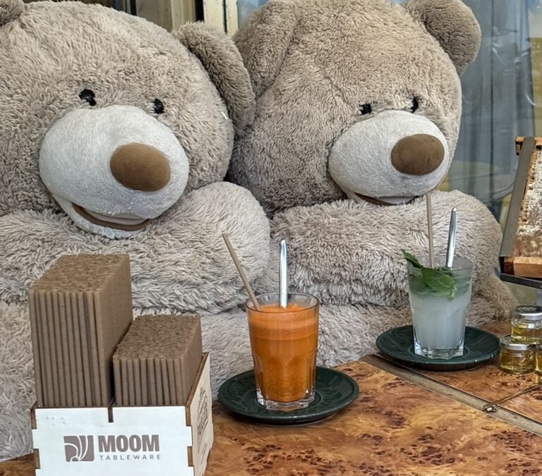 Le Voltigeur à Paris : les pailles MOOM à la terrasse d’un café du Marais
